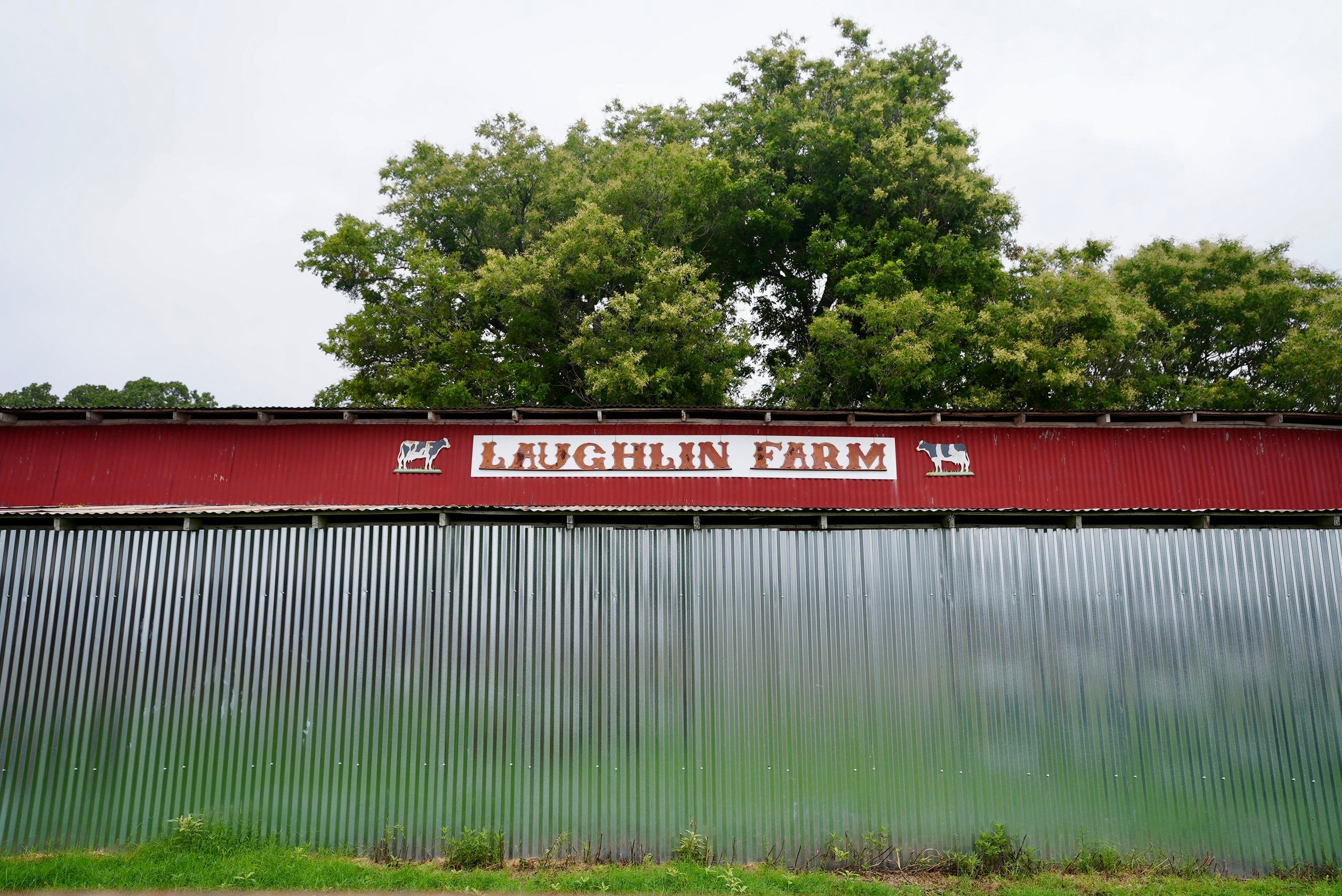 About Us – Laughlin Farms