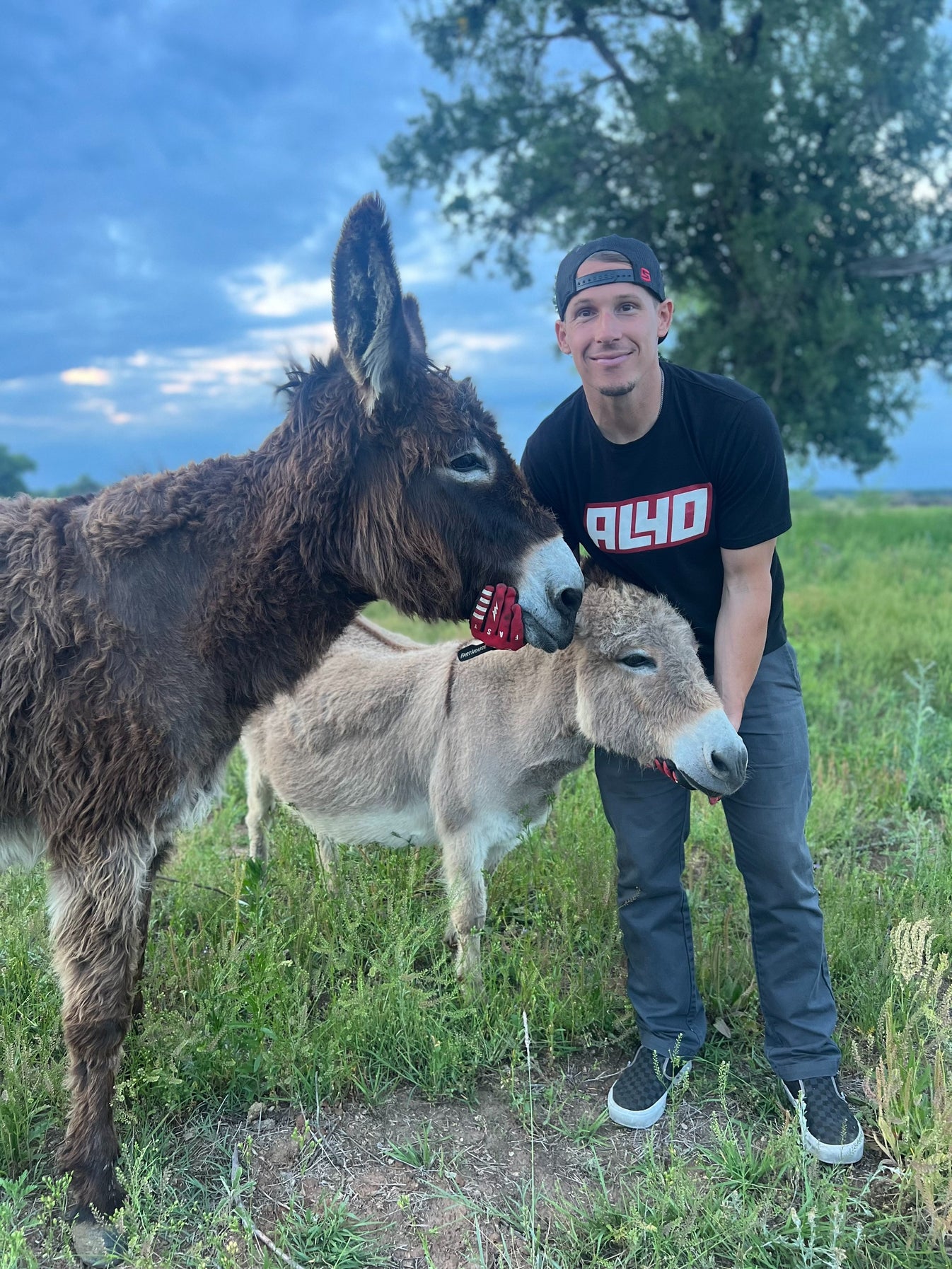 Laughlin Farm – Laughlin Farms